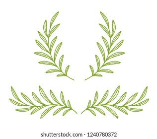 green olive branches wreath, laurel divider with leaves
