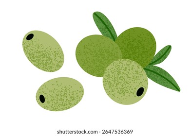 Green olive fruit icon vector illustration. Whole fresh green olives with subtle texture. Mediterranean cuisine. Greek and Italian food. Healthy, natural, oliva berries