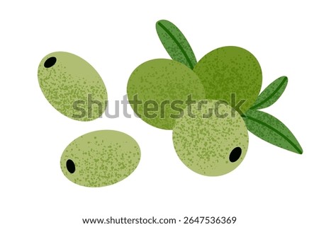 Green olive fruit icon vector illustration. Whole fresh green olives with subtle texture. Mediterranean cuisine. Greek and Italian food. Healthy, natural, oliva berries