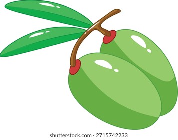 Ilustración vectorial verde de la fruta de oliva aislada en el fondo blanco. Diseño plano de aceitunas frescas con hojas, comúnmente utilizadas en la cocina mediterránea, la producción de aceite de oliva y los conceptos de alimentos saludables.
