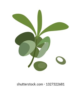 Green olive illustration. Green leaf, branch, nature. Food concept. Vector illustration can be used for topics like agriculture, natural food, eco production