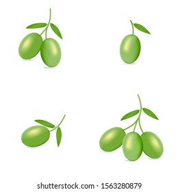 Green olive isolated on white background as package design composition.