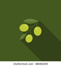 green olive with leaves icon and long shadow, flat design