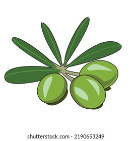 oliva verde con hojas de diseño vectorial