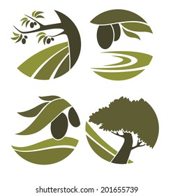 green olive, oil and landscapes, vector collection of signs and symbols