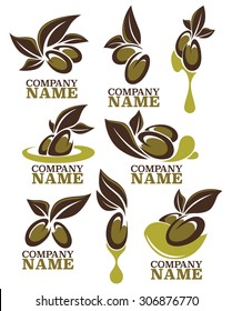 green olive and oil , vector collection of logo signs, symbols and icons