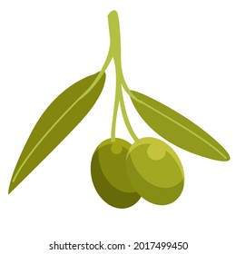 Olea europaea vectorial art 