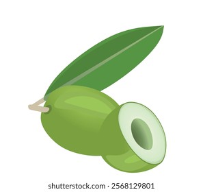 Green olive on white background. vector  illustration
