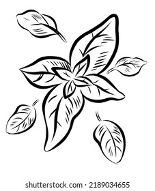 ramas verdes de olivos. ilustración