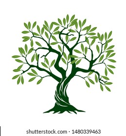 Green Olive Tree n white background. Vector Illustration and concept pictogram. Plant in garden.