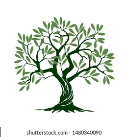 Green Olive Tree on white background. Vector Illustration and concept pictogram. Plant in garden.