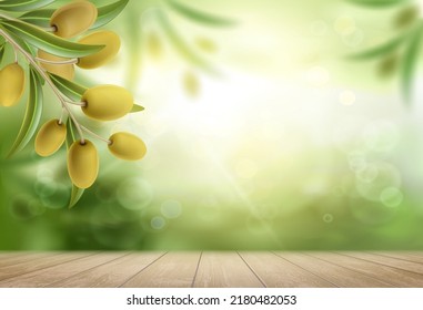 Green olive tree with ripe fruits. Above the wooden table. Vector background