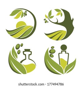 green olive, trees, leaves, bottles and oil , vector collection of signs, symbols and icons