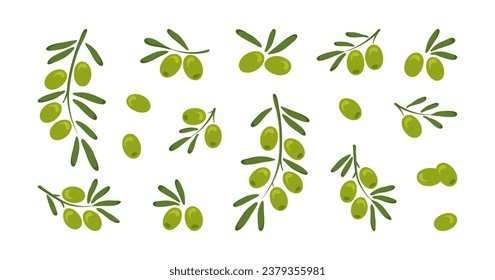 Icono de vector de oliva verde, aceitunas de ramas de dibujos animados, comida de frutas con hojas, baya italiana o grecia, cocina de aceite de oliva aislada en fondo blanco. ilustración mediterránea