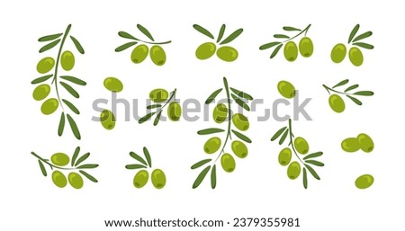 Green olive vector icon, cartoon branch olives, fruit food with leaf, italian or greece berry, oliva oil cooking isolated on white background. Mediterranean illustration
