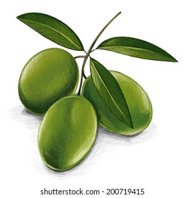 Green Olives