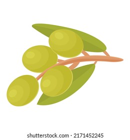 Green olives branch icon cartoon vector. Olive food. Plant extra