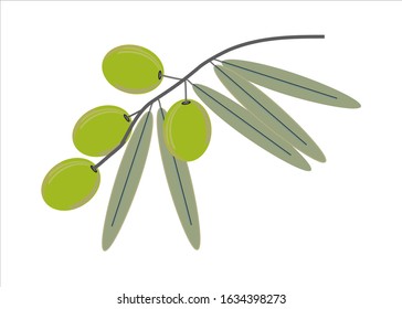 Green Olives branch isolated vector
