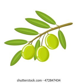 Green olives branch on white background