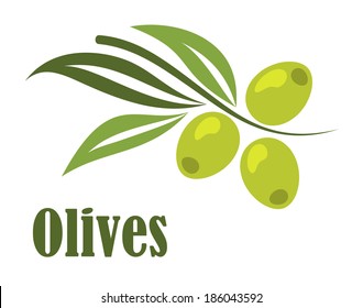 Green olives branch with text in cartoon style for vegetarian food design