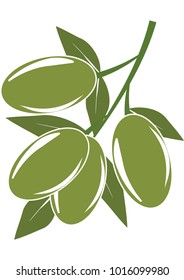 green olives branch-vector