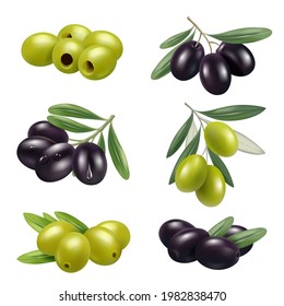 Aceitunas verdes. Closeup grecia auténtica aceitunas alimenticias ramas productos ingredientes decente vectores ilustraciones establecidas