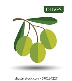 Green olives, fruit vector illustration