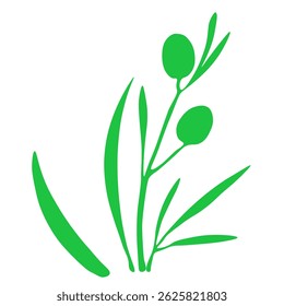 Green olives. hand drwn vector illustration. 