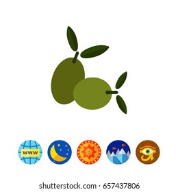 Green olives icon