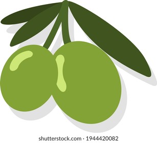 Aceitunas verdes, ilustración, vector sobre fondo blanco