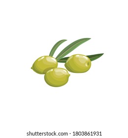 Green olives with leaves in cartoon style.  Flat simple design element for packaging, logos and other olive products. Vector illustration isolated on white.