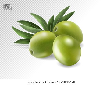 Green olives and leaves isolated on transparent background. Photo-realistic vector, 3d