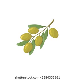 Green olives and leaves. Isolated vector illustration on a white background. Greek nature food. Flat style olive branch.