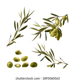 Green olives with green leaves on a branch. White background. Set. Isolated.