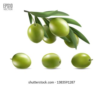 Green olives and leaves set isolated on white background as package design element. Photo-realistic vector, 3d