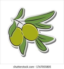 Green olives with leaves in vector format on a white background