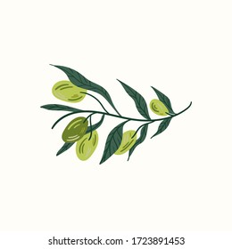 Green olives on a branch isolated on a white background. Hand draw cartoon Scandinavian nordic design style for fashion or interior or cover or textile or background.