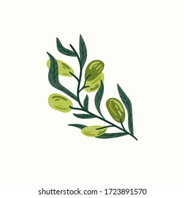 Green olives on a branch isolated on a white background. Hand draw cartoon Scandinavian nordic design style for fashion or interior or cover or textile or background.