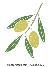 Green olives on a branch with leaves