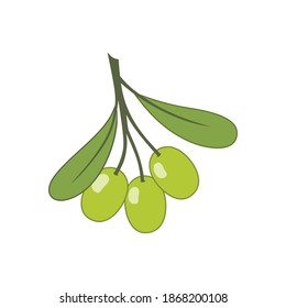 Aceitunas verdes en una rama. Ilustración vectorial al estilo de las caricaturas.