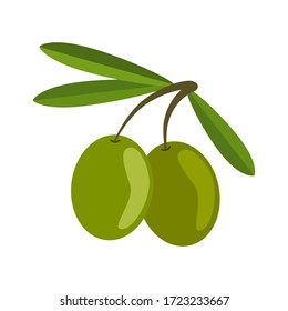 Green olives on white background. Branch olives whith leaves. Vector illustration in flat style.