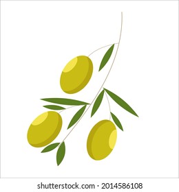 Aceitunas verdes sobre fondo blanco para diseño de clipart o web