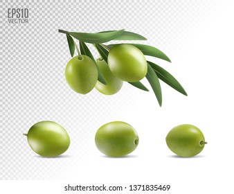 Aceitunas verdes aisladas en fondo transparente como elementos de diseño de paquetes. Vector fotorealista, 3d