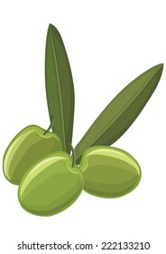 Green olives,  vector illustration