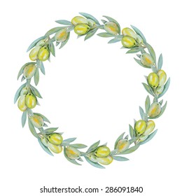 green olives wreath - vector illustration