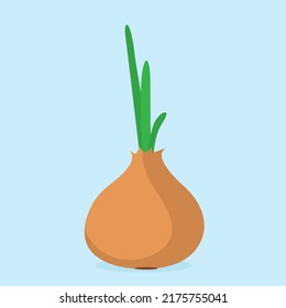 Green onion bulb, green onion, onion