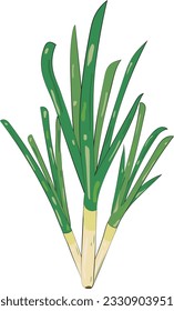 Green Onion Cartoon Character Illustration Graphic Element Art Card