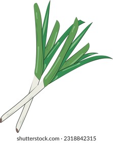 Green Onion Cartoon Illustration Graphic Element Art Card