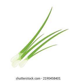 Green onion, chives or scallion, vector illustration isolated on white background svg