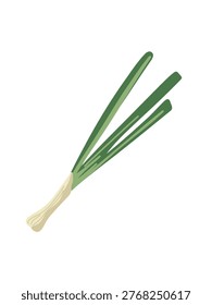 green onion feather composition on white background